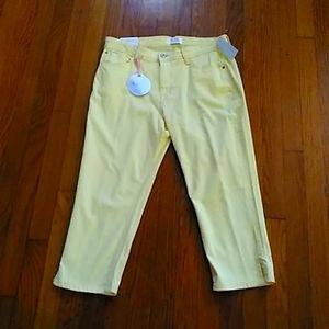 Curve Appeal Women Pants